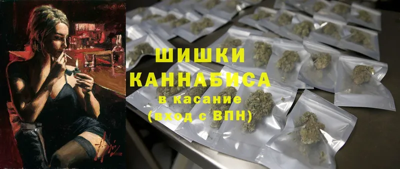 где продают наркотики  Купино  Конопля Amnesia 